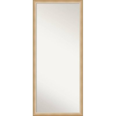 27 X 63 Eva Ambre Framed Full Length Floor/leaner Mirror Gold