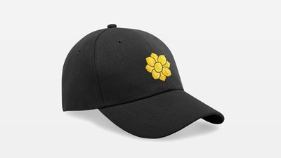 Logo Cap