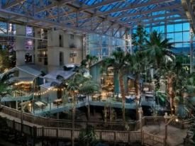 Gaylord Palms Resort image