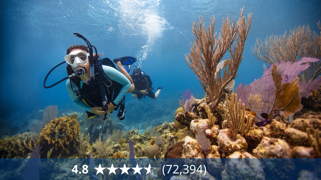 オープン･ウォーター･ダイバー(Open Water Diver)