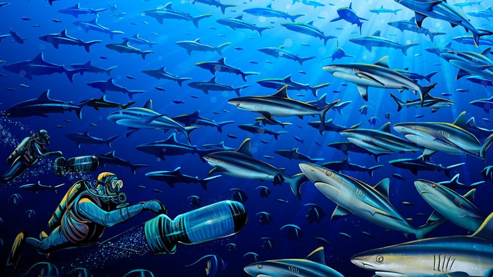 Carte Physique « Plongée avec les Requins » par Francesca Page