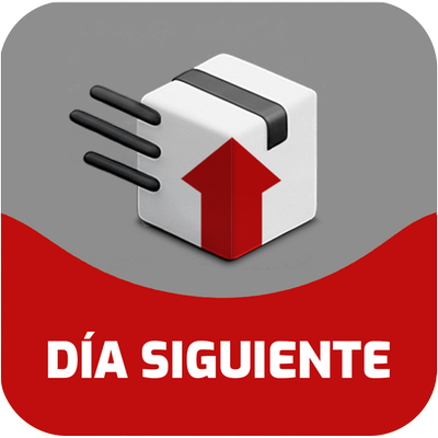1 Guía Día Siguiente Prellenado
