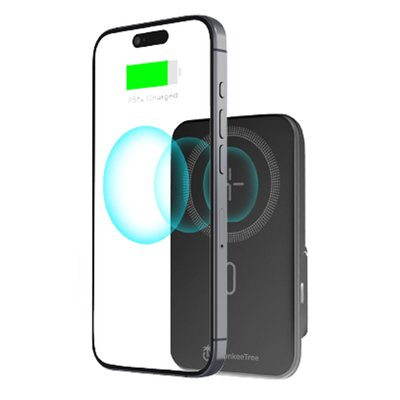 4-in-1 Power Bank Buds