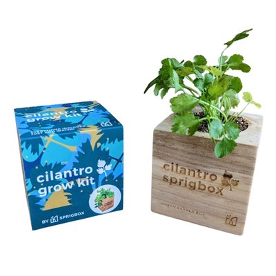 Salsa & Spice - Grow Kit Trio