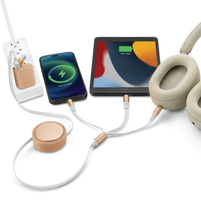 6-in-1 Retractable Cable With Fast Charge Adapter - Gold