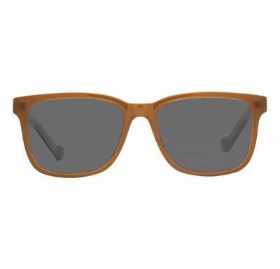 Dan Clear Readers Indoors And Sun Readers Outdoors - Chestnut/Cool Gray