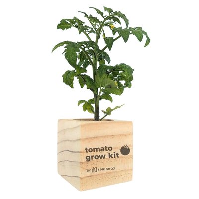 Salsa & Spice - Grow Kit Trio