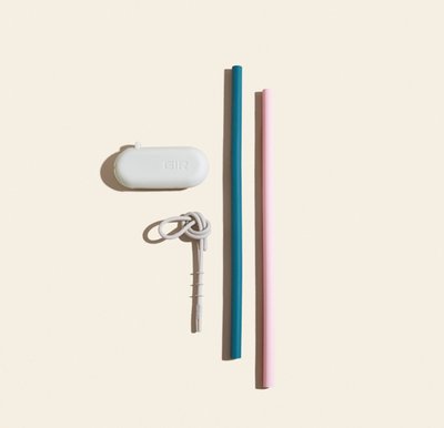 Traveler Straws