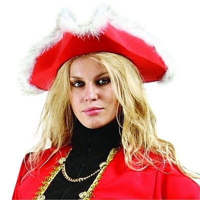 Felt Pirate Hat