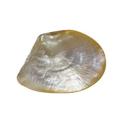 MOTHER-OF-PEARL SERVING DISH