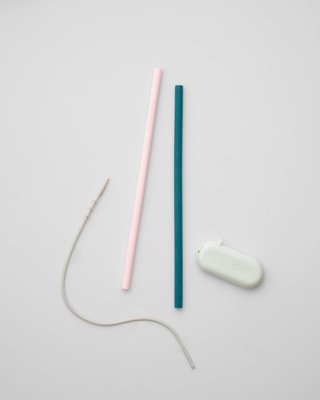 Traveler Straws