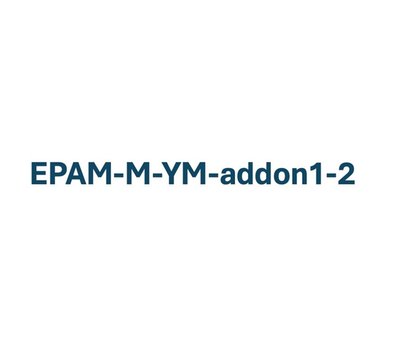 EPAM-M-YM-addon1-4