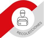 Servicio de Recolección 5