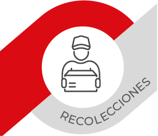 Servicio de Recolección 20