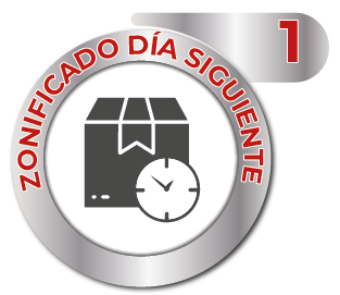 Servicio Dia Siguiente Zonificado