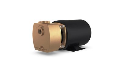 Centrifugal Pumps | Oberdorfer Shop