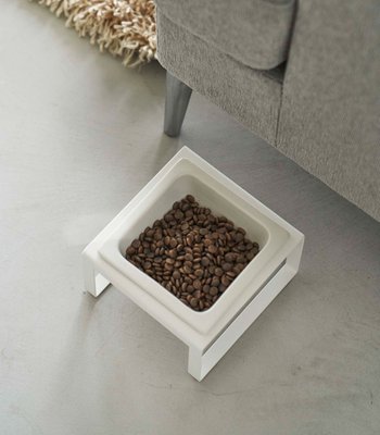 Single Pet Food Bowl - Steel And Ceramic