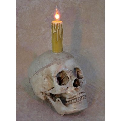 Skull Display with deluxe Candle