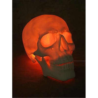 Lighted Two Piece Skull