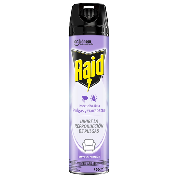 Raid