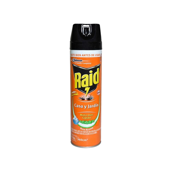 Raid