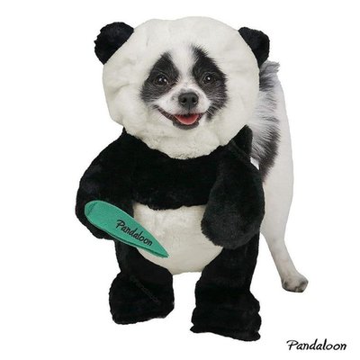 Panda Puppy
