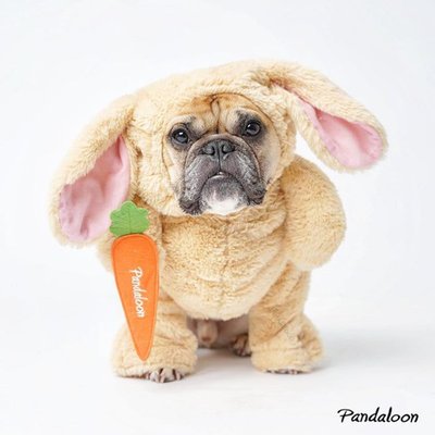 Bunny Costume