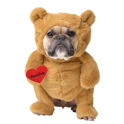 Teddy Bear