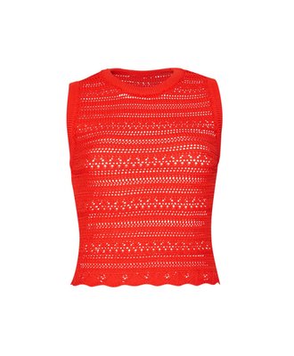 Passion Crochet Top