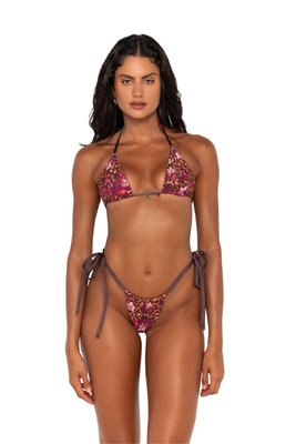 Honey Top Dolce