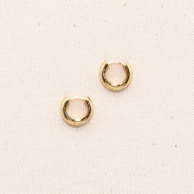 Antoni Earrings Hoop