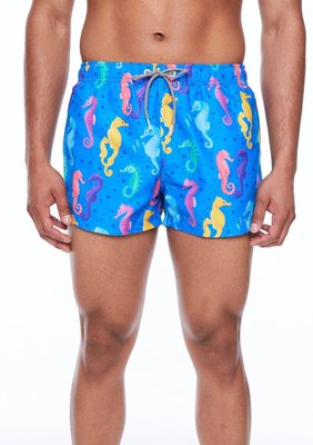 Boardies Seahorses Shortie