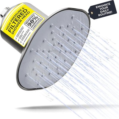 Filtered Showerhead - Brushed Nickel