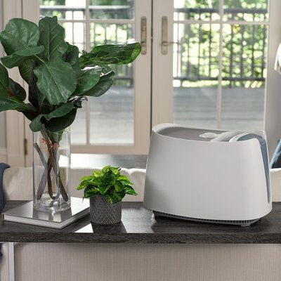 Cool Moisture Humidifier - White