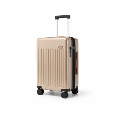 Luggage & Travel Set (4-Piece) - Mushroom