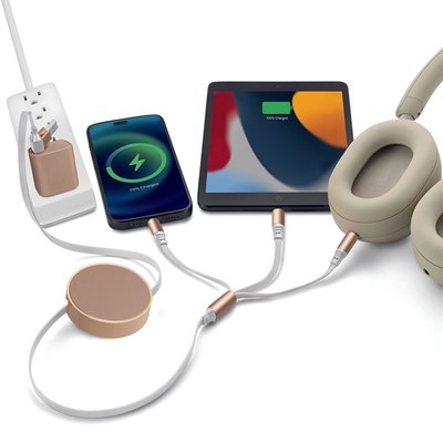 6-in-1 Retractable Cable With Fast Charge Adapter - Gold