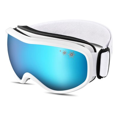 The Flurry Snow Goggle - White