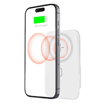 4-in-1 Power Bank Buds