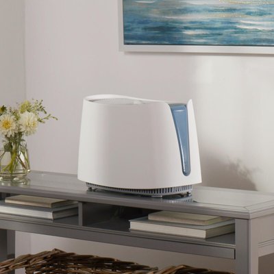 Cool Moisture Humidifier - White