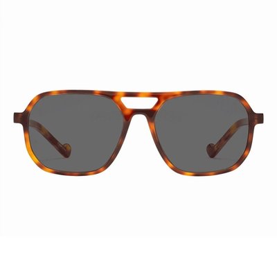 Ellis Clear Readers Indoors And Sun Readers Outdoors - Classic Tortoise
