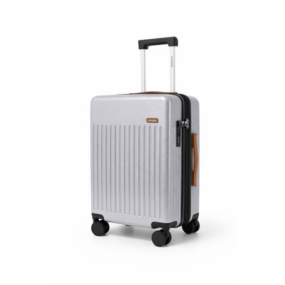 Luggage & Travel Set (4-Piece) - Silver