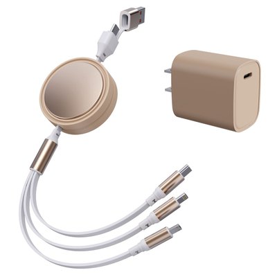 6-in-1 Retractable Cable With Fast Charge Adapter - Gold