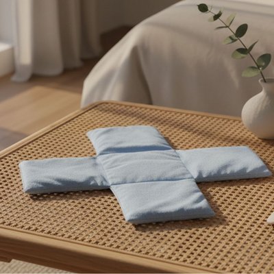 Reusable Ice Pack Insert