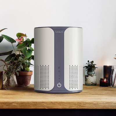 Air Purifier with Essential Oil Diffuser