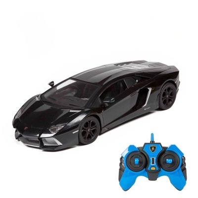 Lamborghini Aventador 1:14 RC Car