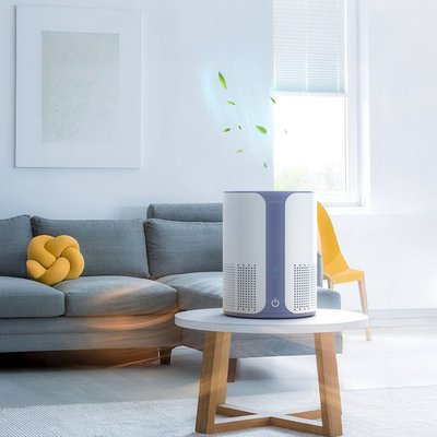 Air Purifier with Essential Oil Diffuser