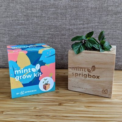 Cocktail Mixer - Grow Kit Trio