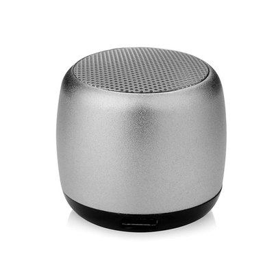 Bluetooth Mini Speaker - Metallic Silver