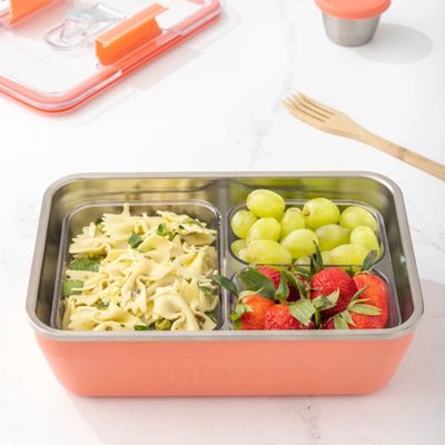 Rex Lunch Box - 2 Color Options