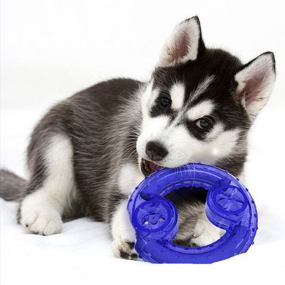 Dog Toy